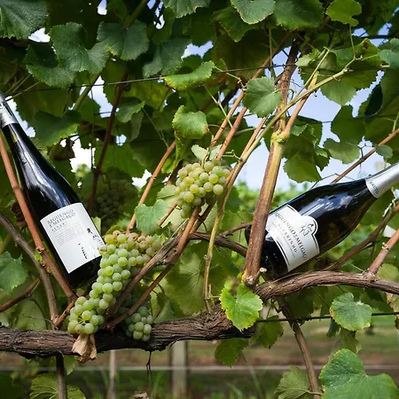 ホテル Rural Reguengo De Melgaço