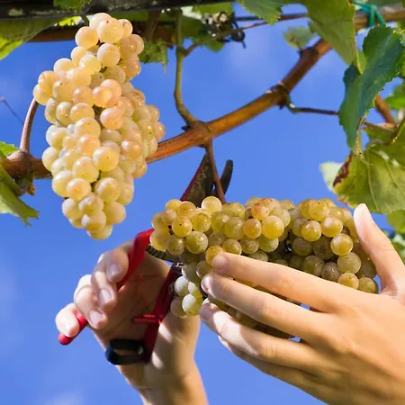 Rural Reguengo De ホテル Melgaço