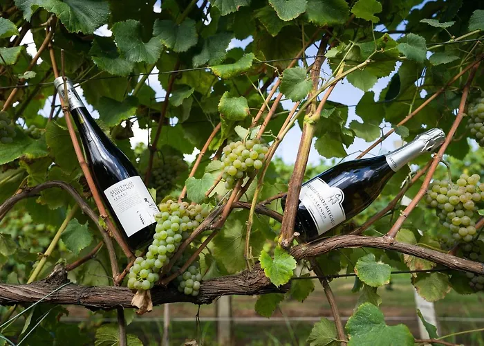 ホテル Rural Reguengo De Melgaço