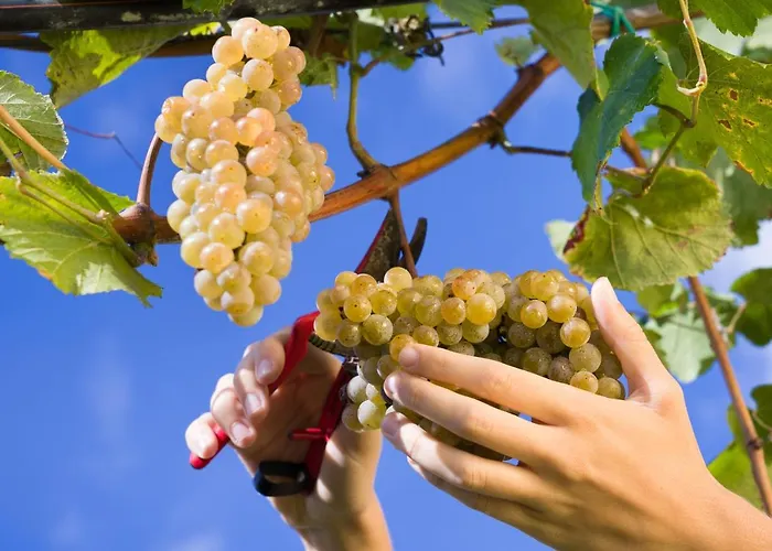 Rural Reguengo De ホテル Melgaço